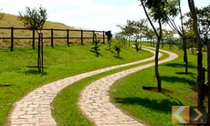 calçamento de pedra folheta